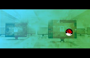 successful IT career